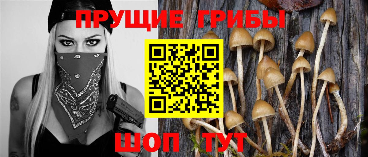 Петропавловск-Камчатский  Галлюциногенные грибы ЛСД  что такое   Вход с VPN 