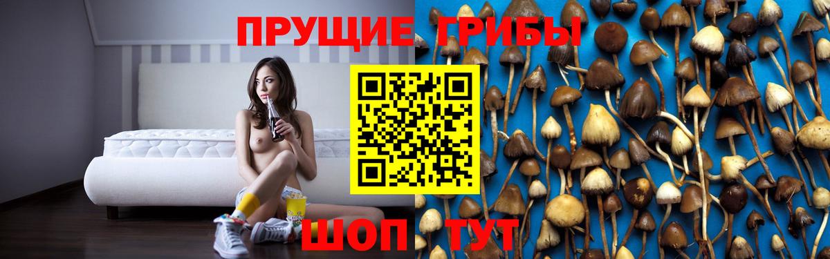 Галлюциногенные грибы Cubensis Петропавловск-Камчатский
